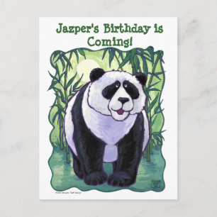 Panda Bear Party Centre Announcement Postcard