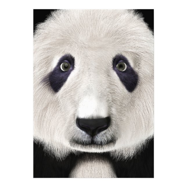 Panda Bear Photo Print (Front)