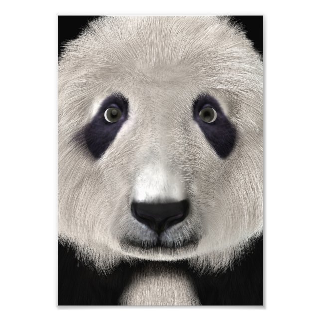 Panda Bear Photo Print (Front)