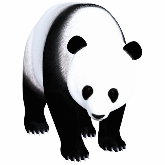 Panda Bear Photo Sculpture Decoration (Front)