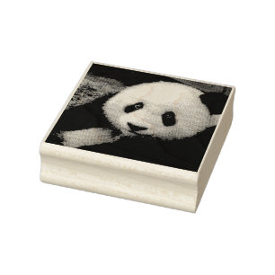 PANDA BEAR PHOTORAPHY RUBBER STAMP