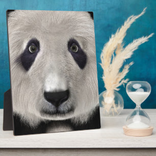 Panda Bear Plaque