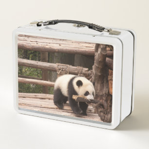 Panda Bear Playful Metal Lunchbox