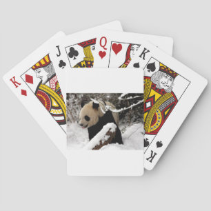 Panda Bear Playing Cards