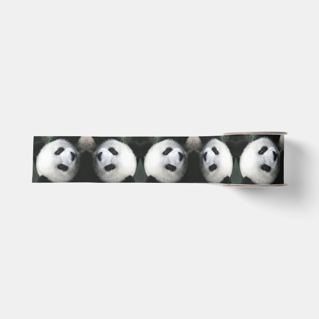Panda Bear Ribbon Grosgrain Ribbon (Front)