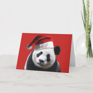 Panda Bear Santa Claus Card