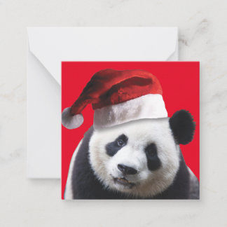 Panda Bear Santa Claus Card