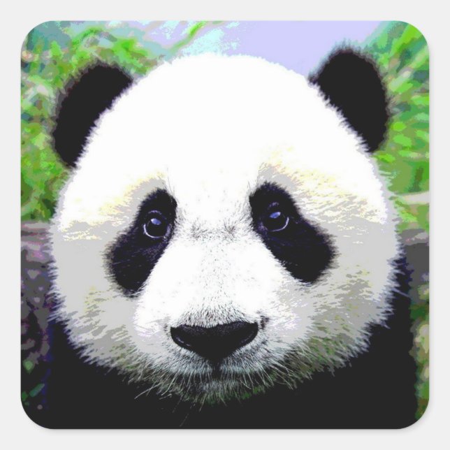 Panda Bear Square Sticker (Front)