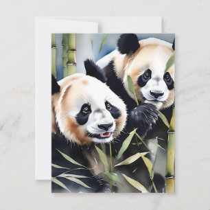 Panda Bear Study B - Watercolors Holiday Card