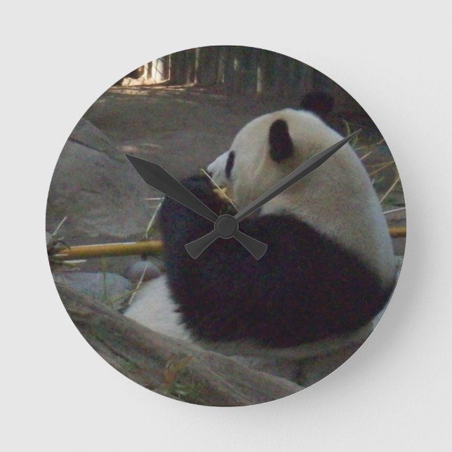 Panda Bear Wall Clock (Front)