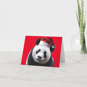 Panda Bear Wearing a Santa Claus Hat for Christmas Thank You Card