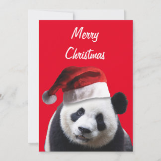 Panda Bear Wearing a Santa Claus Hat for Christmas Thank You Card