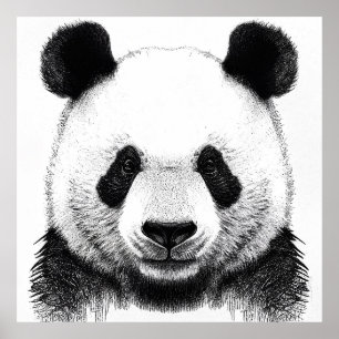 Panda Bear Wild Nature Animal Illustration Art  Poster