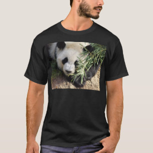 Panda Bear @ Zoo Atlanta T-Shirt