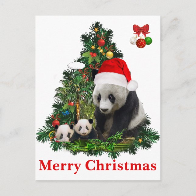 Panda bears Christmas  Holiday Postcard (Front)