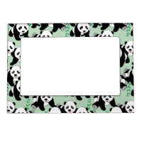 Panda Bears Graphic