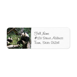 Panda Bears Mailing Label