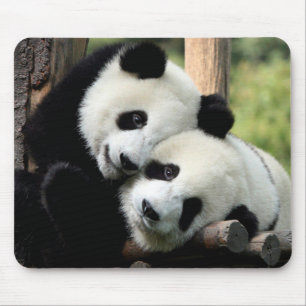 Panda Bears Mouse Mat