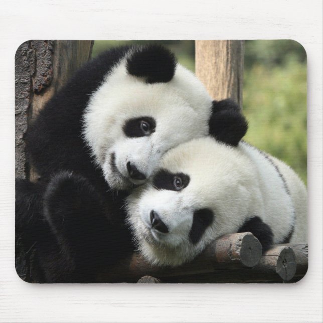 Panda Bears Mouse Mat (Front)
