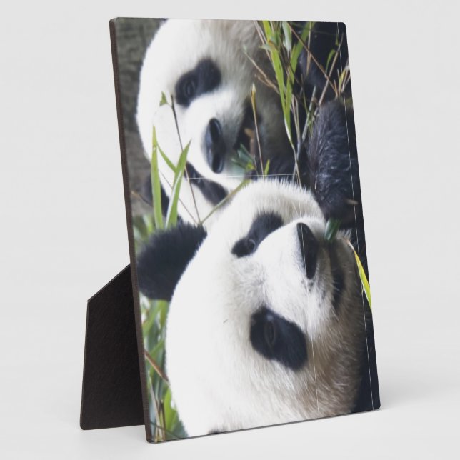 Panda Bears Plaque (Side)