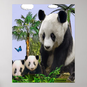 Panda bears poster