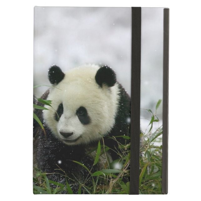Panda Bears Powis iCase iPad Cases (Front Closed)