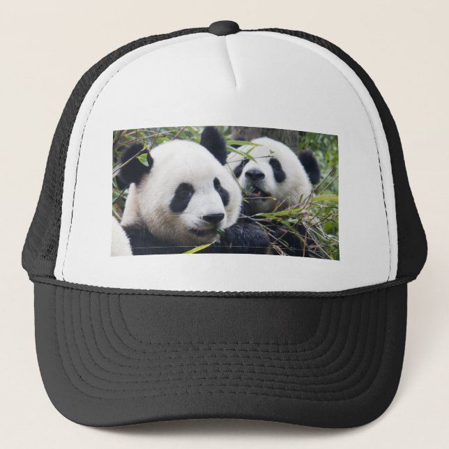 Panda Bears Trucker Hat (Front)