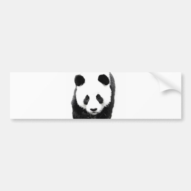 Panda Bumper Sticker (Front)