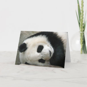 Panda Card