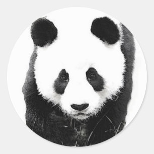 Panda Classic Round Sticker