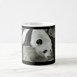 Panda Coffee Cup