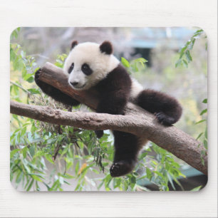 Panda Cub Mouse Mat