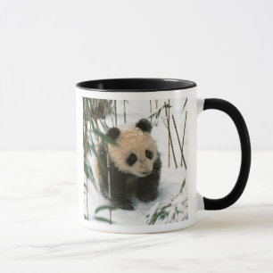 Panda cub on snow, Wolong, Sichuan, China Mug