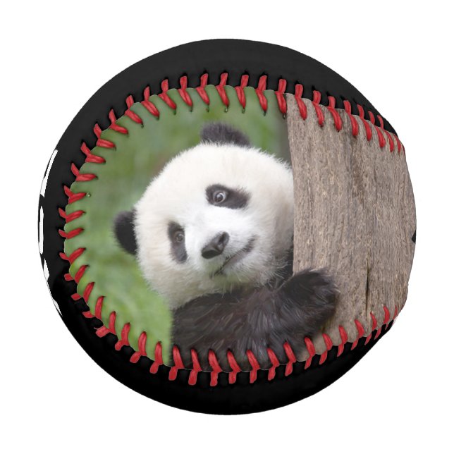 Panda cub Painting baseball (Front Left)