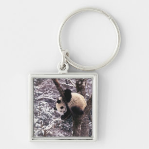 Panda cub playing on tree covered with snow, key ring