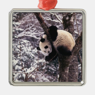 Panda cub playing on tree covered with snow, metal tree decoration