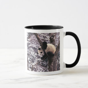 Panda cub playing on tree covered with snow, mug