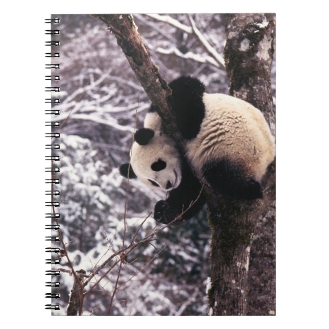 Panda cub playing on tree covered with snow, notebook (Front)
