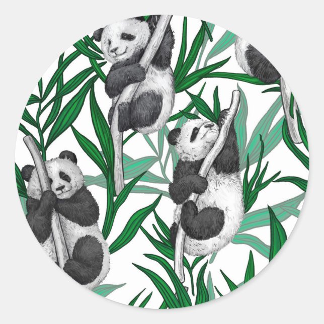 Panda cubs on classic round sticker (Front)