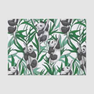 Panda cubs on tissue paper