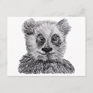 Panda Drawing Postcard