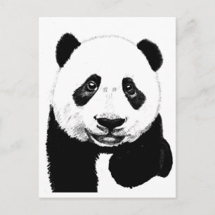 Panda drawing postcard