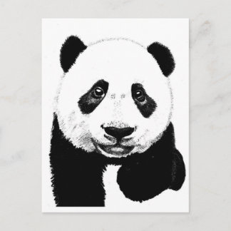 Panda drawing postcard