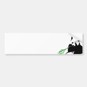 Panda eating Bamboo Bumper Sticker