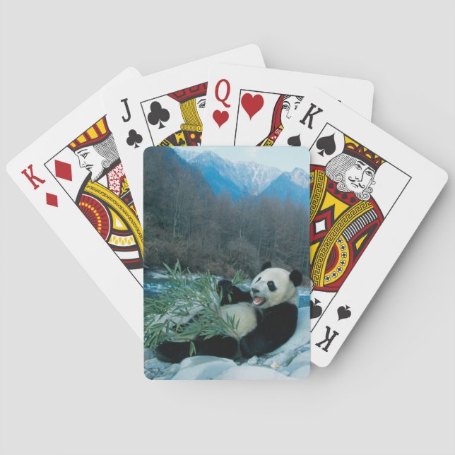 Panda eating bamboo by river bank, Wolong, 2 Playing Cards (Back)
