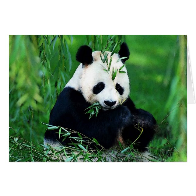 Panda Eating Leaves (Front Horizontal)