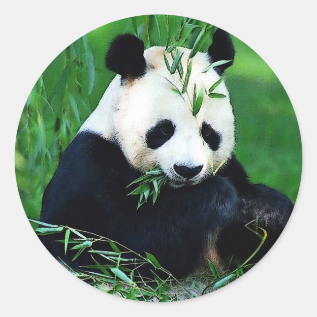 Panda Eating Leaves Classic Round Sticker (Front)
