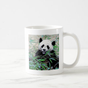 Panda Eating Leaves Coffee Mug