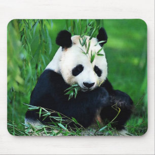 Panda Eating Leaves Mouse Mat