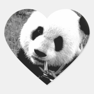 Panda Eyes Heart Sticker